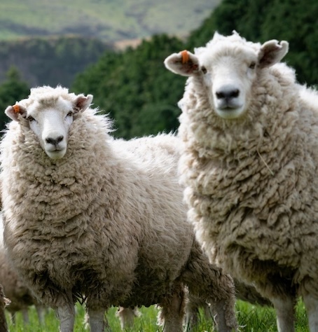 Nachhaltige Produktion und faire Arbeitsbedingungen bei Varazio - Verantwortungsvolle Maßkonfektion