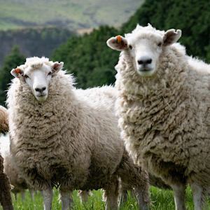 Nachhaltige Produktion bei Varazio